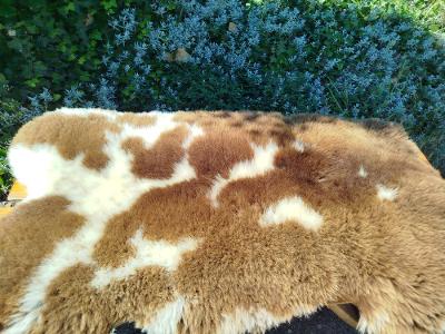 Dutch Decorative Sheepskins, Premium